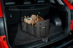GEN- Boot Organiser
