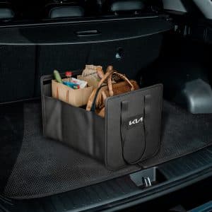 GEN- Boot Organiser